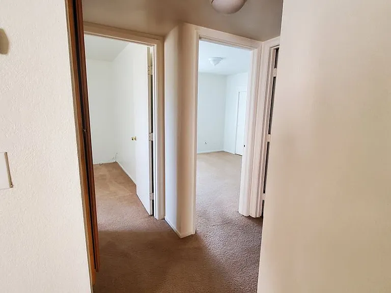 Norma Street Apartments — Photo 17