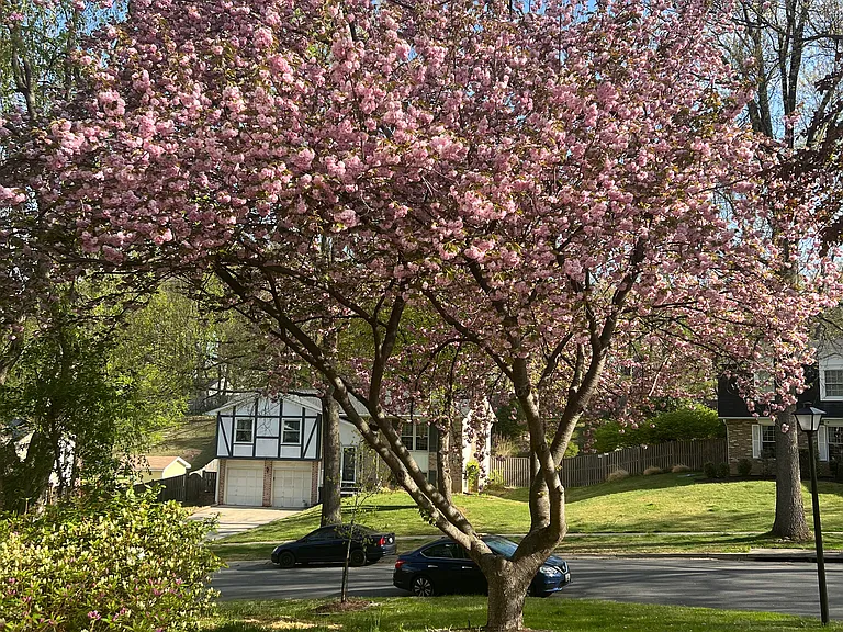 Gatlin Dr — Photo 10
