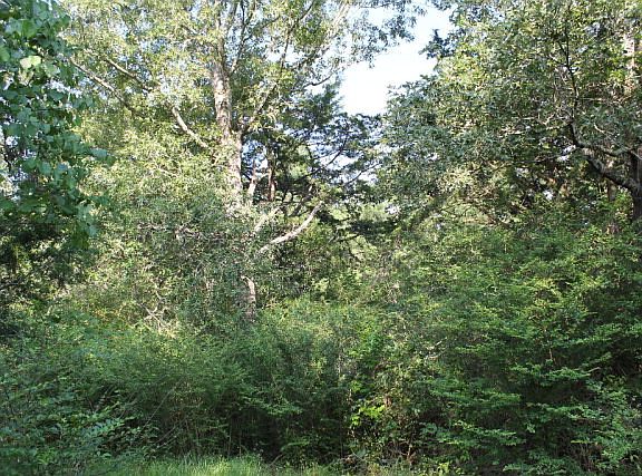 3rd image of 560 County Road 2734