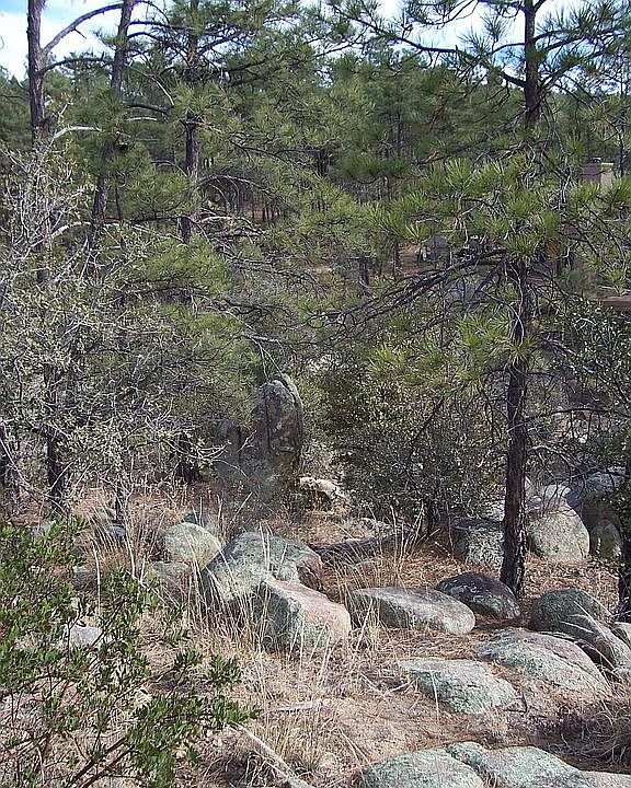 2nd image of 1260 W Cougar Ln
