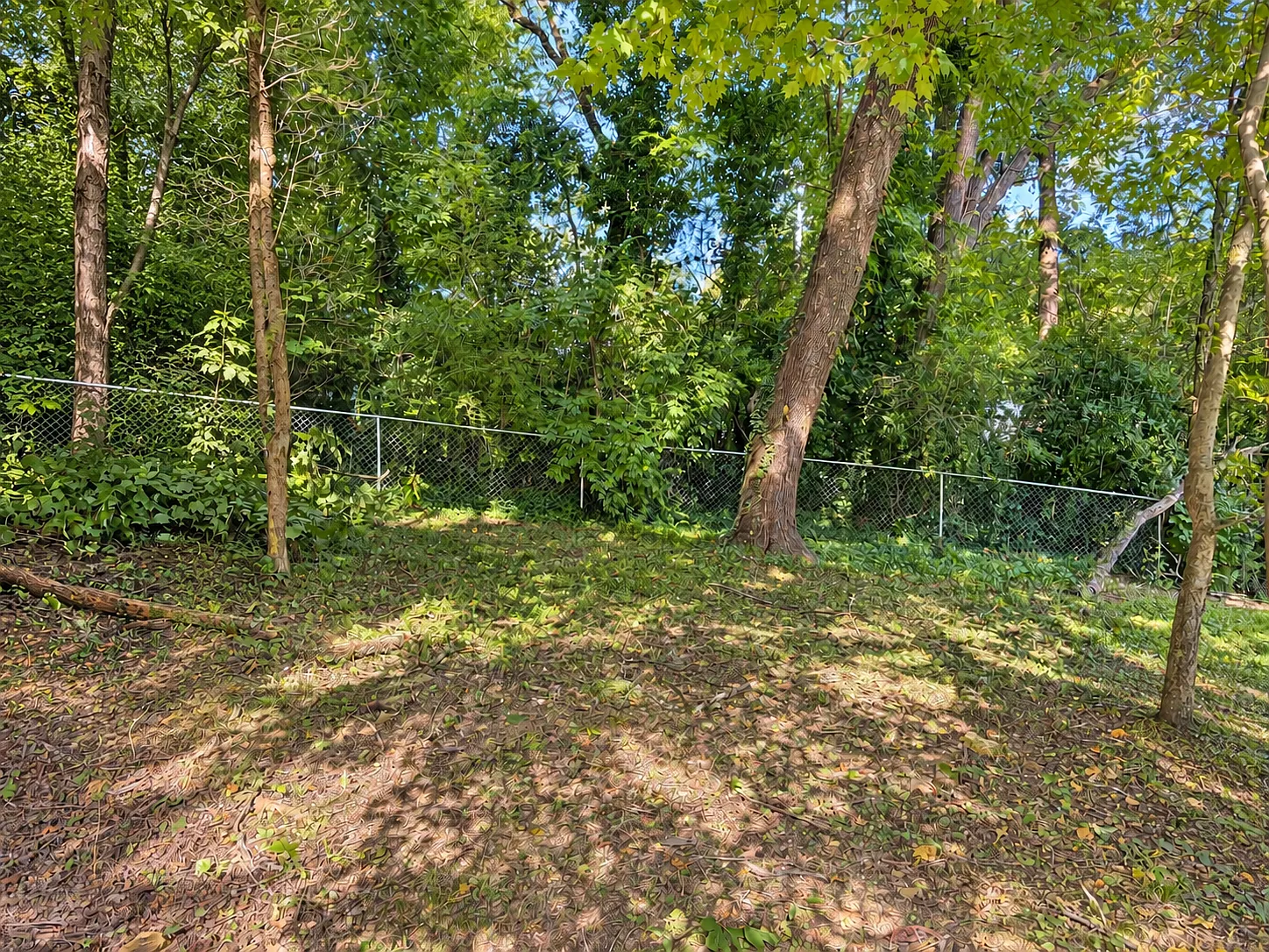 322 Shady Crest Dr — Photo 2