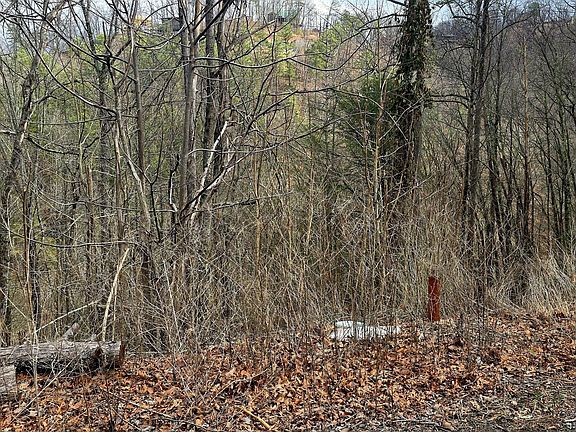 5th image of 3278 Emerald Springs Loop