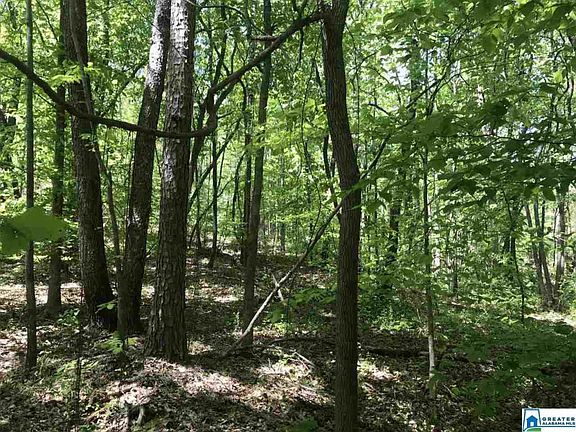 4th image of 0 Shoal Crest Dr Lot 12-13
