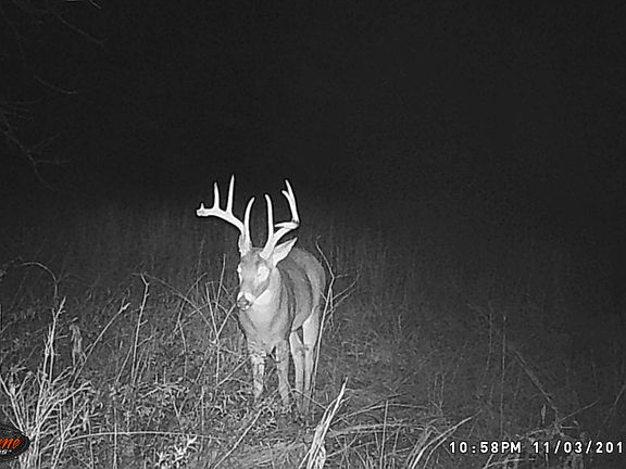 4th image of 5775 County Road 3800