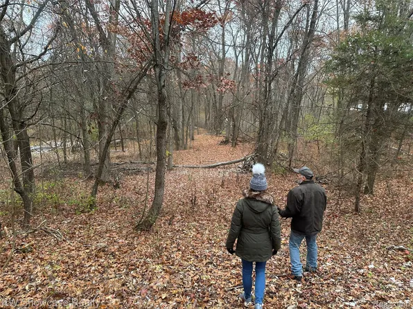 0 Spicer Rd, Brighton, MI 48116