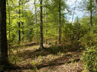 280 Clearwater Pkwy, Rutherfordton, NC 28139