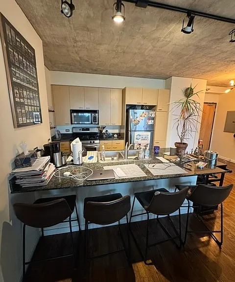 1845 S Michigan Ave #1609 — Photo 3
