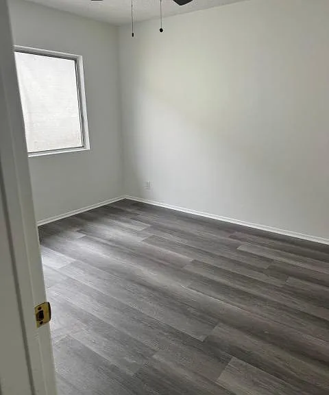 946 Larch St #2 — Photo 5