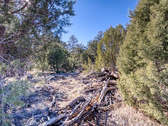 3rd image of 580 S Creekside Dr