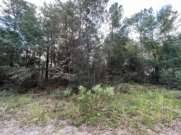 5th image of 6295 Bowdoin Avenue