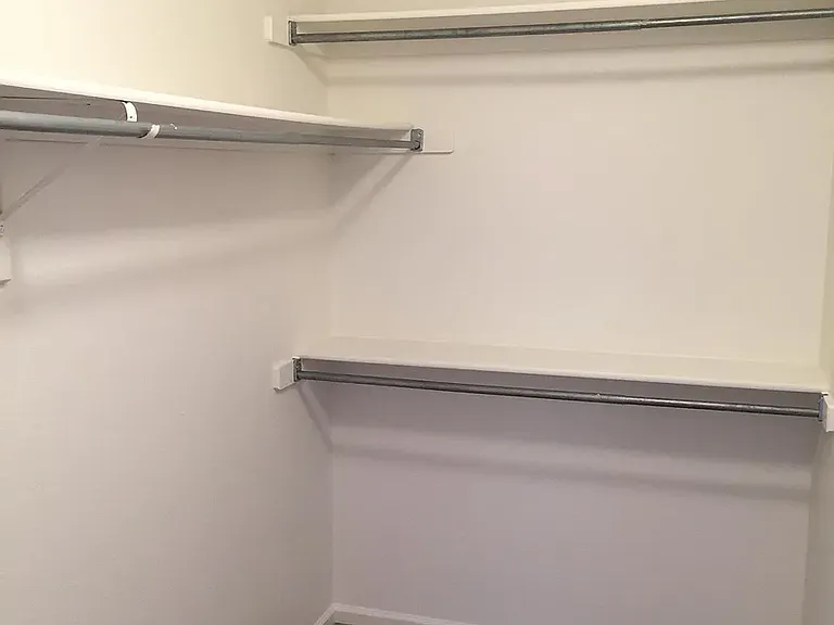 Master Walk in Closet