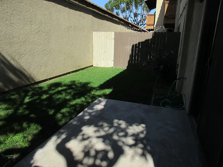 Back yard