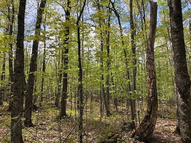 1st image of 6155 County Road 457