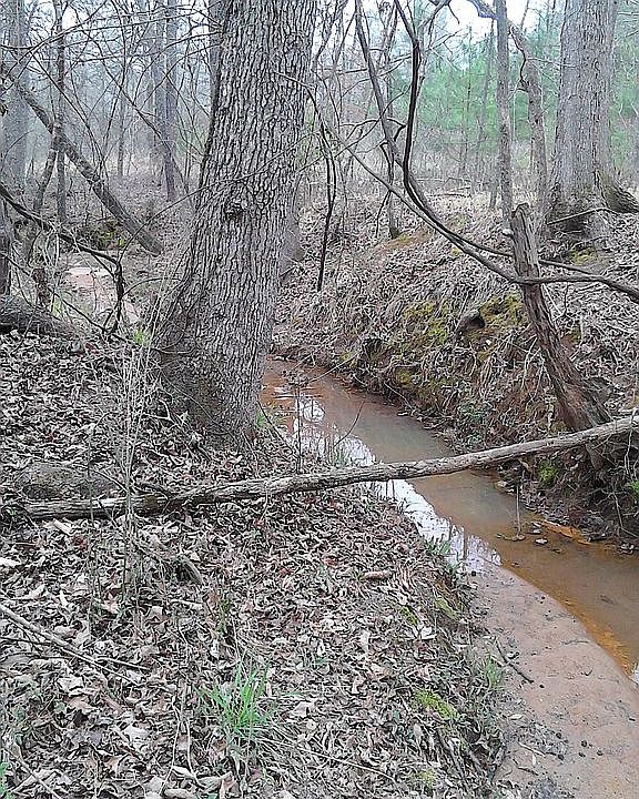 Creek running on one side