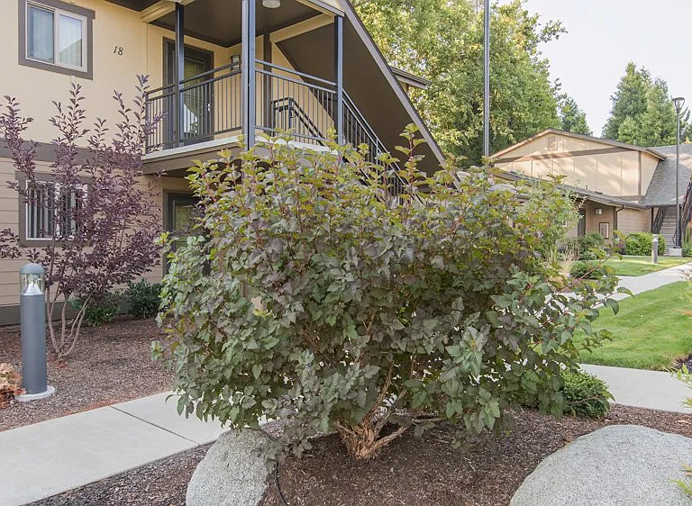 1108 NE Rose St #1108 — Photo 4