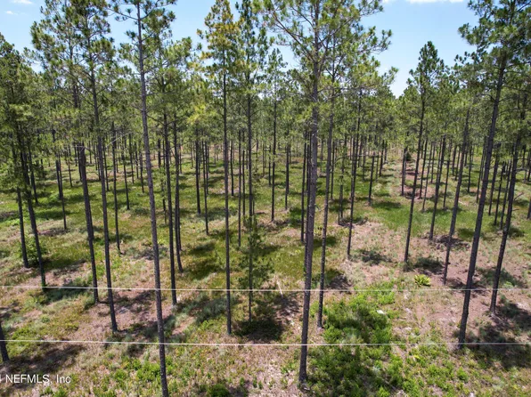 0 NW CR 235, Lake Butler, FL 32054