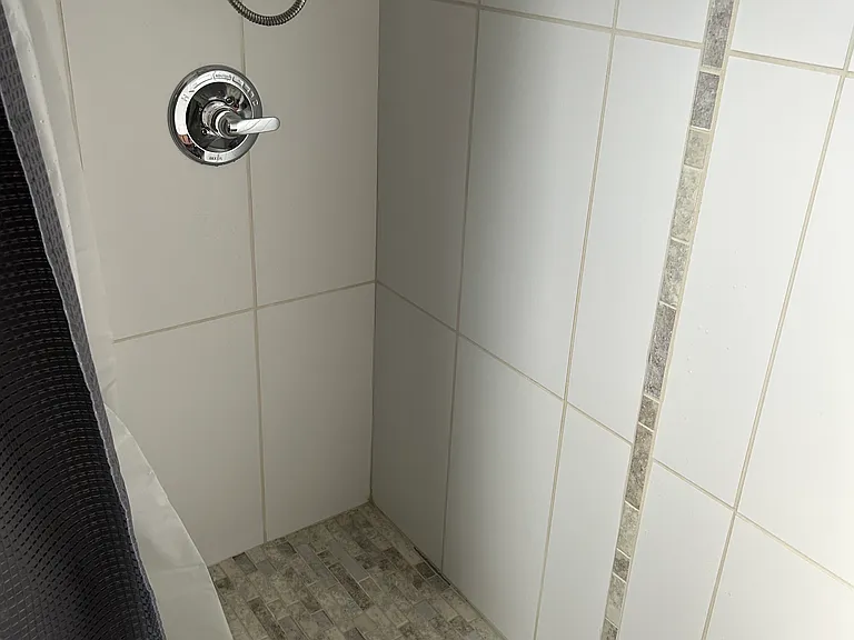 Master bath shower