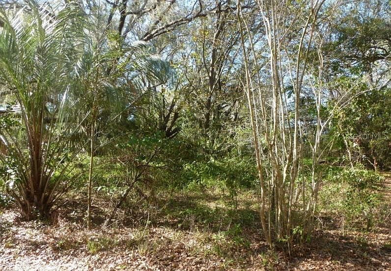 1st image of 26389 Contiena Ln