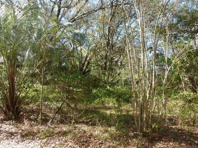 26389 Contiena Ln, Brooksville, FL, 34602