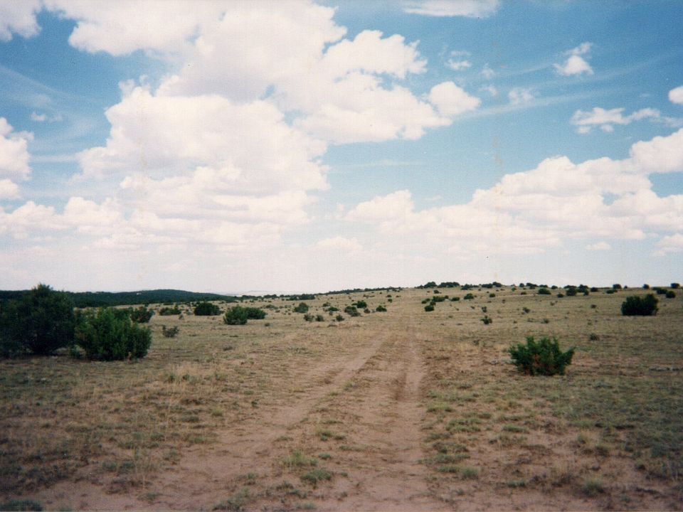 2nd image of Lot #124