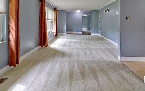 Living room and dining room