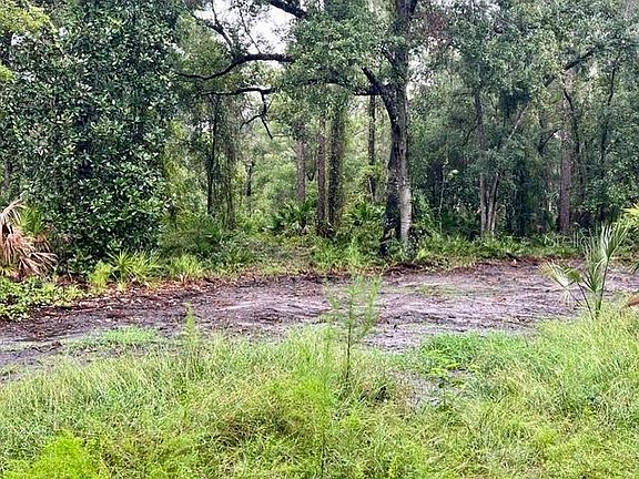 3rd image of xxx WATER OAK ROAD