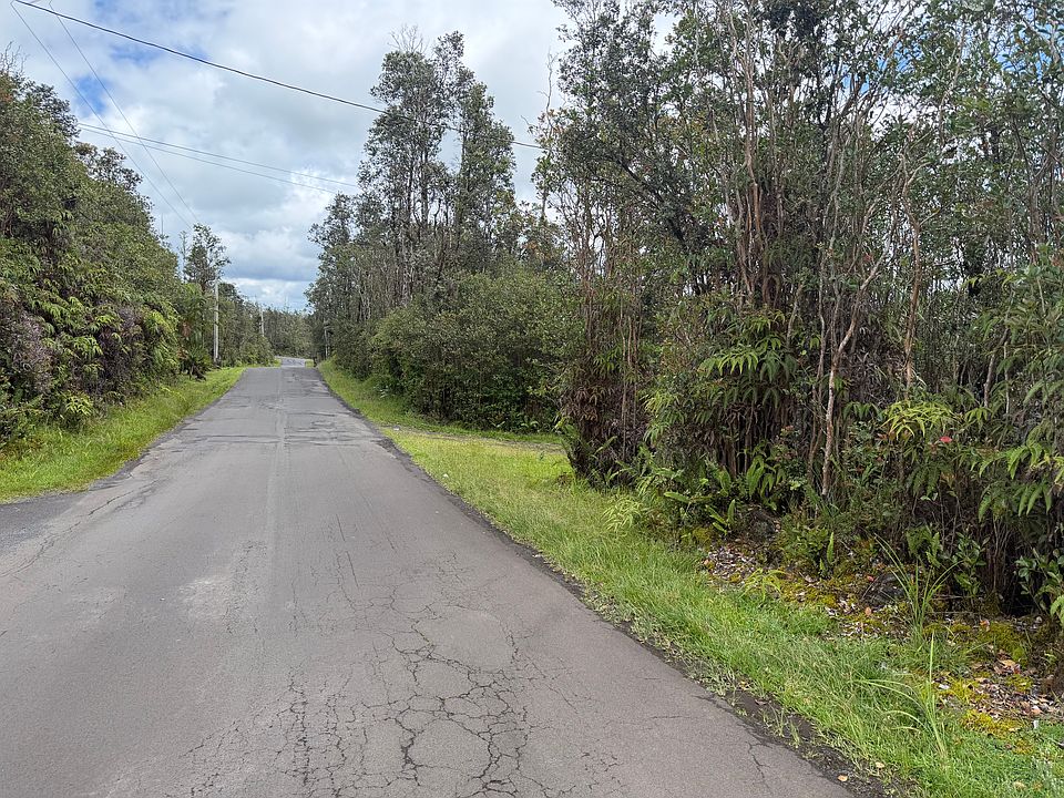 2nd image of Hibiscus St Lot 7225