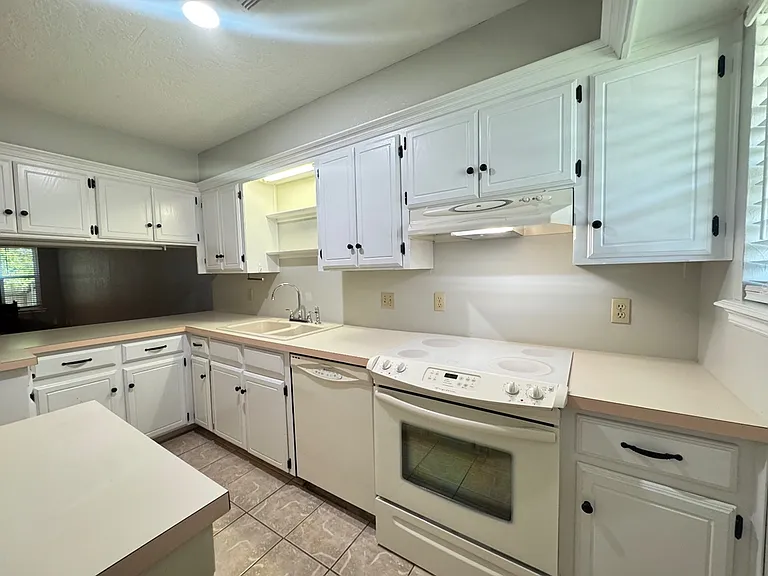 905 Rambling Oaks Dr — Photo 9