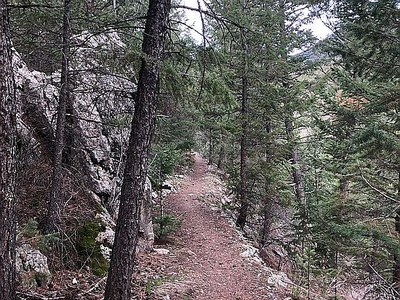 Trail at back of property.  