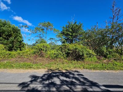 37th Ave Lot 60, Kurtistown, HI, 96760