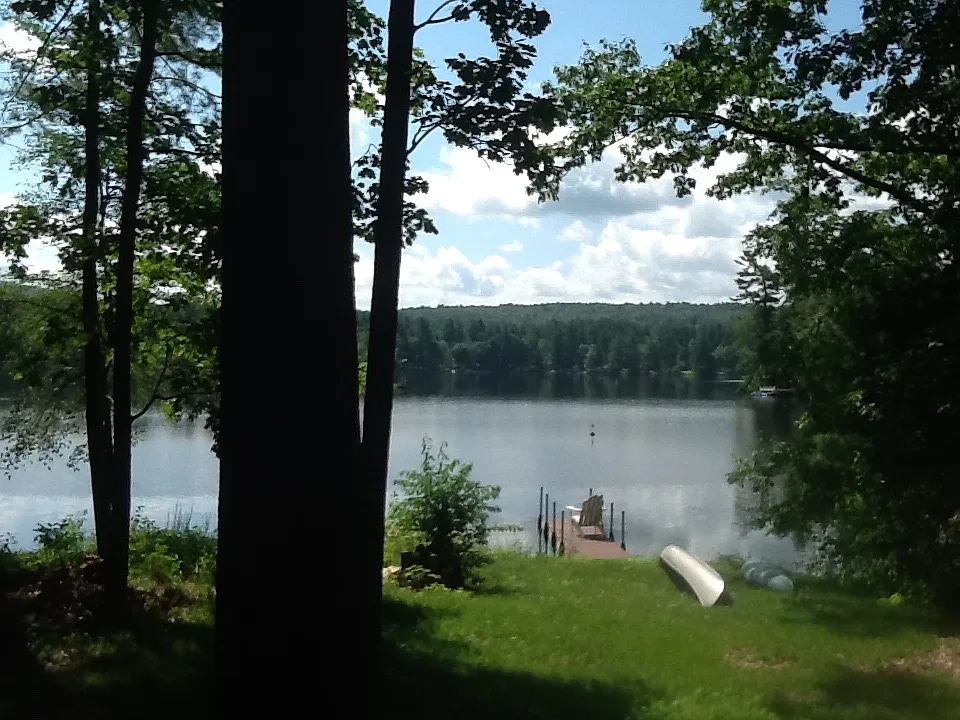 3 bed, 1.5 bath, 1340 sqft, $2,300 — Photo 1