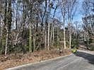 3rd image of 4940 Westridge Ln #7