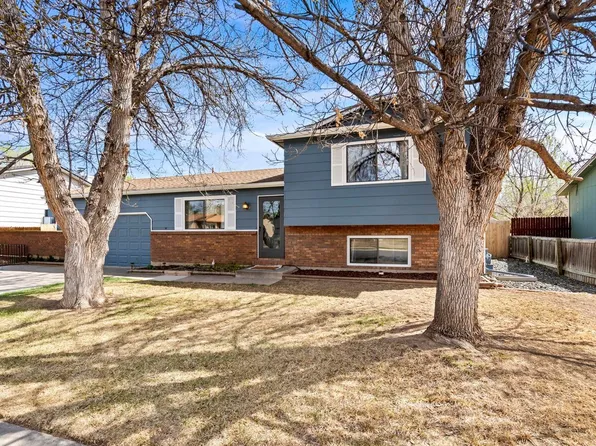 228 Blossom Dr, Loveland, CO 80537