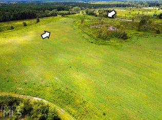 LOT 18 Chestnut Rd, Alma, GA 31510