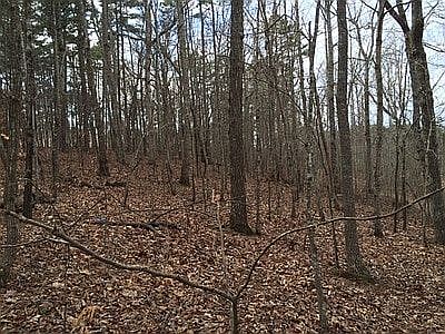 3rd image of Hiram-acworth Hwy