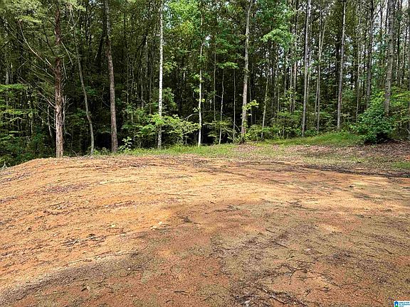 3rd image of TRACT Two 343 County Rd #892