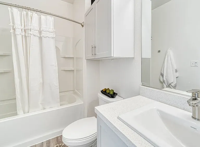 BLVD Guest Bathroom / Tub Shower Combo