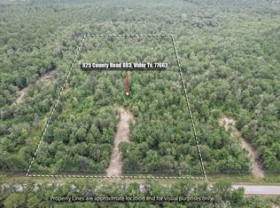 825 County Road 883 TRACT 2, Vidor, TX 77662