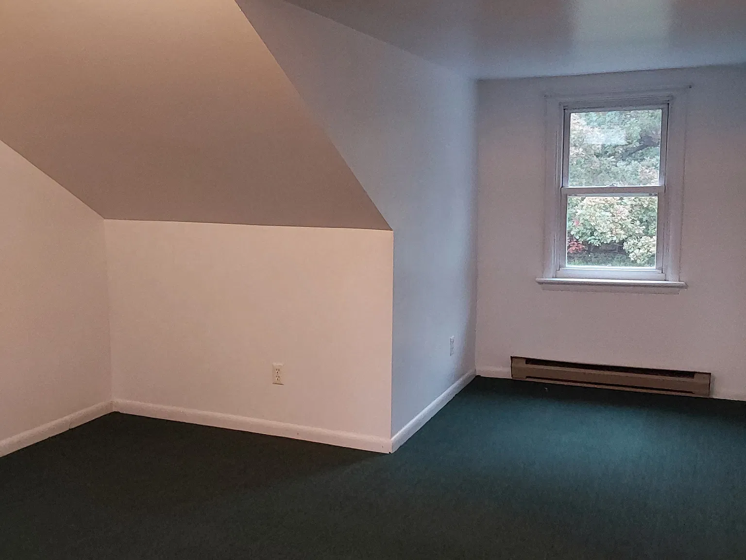 1 bed, 400 sqft, $800 — Photo 2