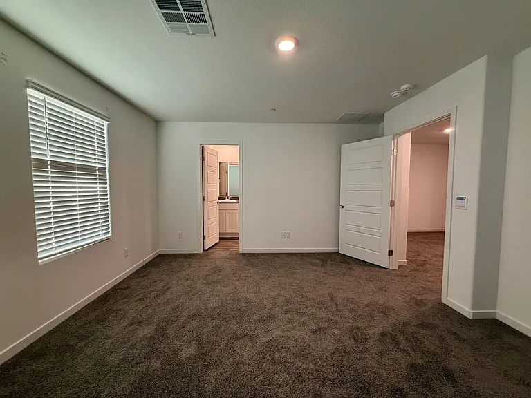 917 Violet Heron St — Photo 28