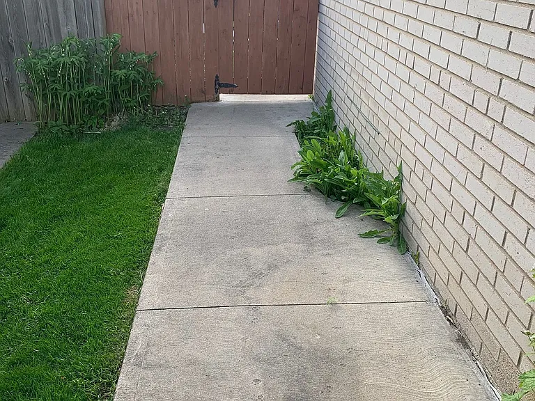 166 Bartley Bull Pkwy #LOWER — Photo 18