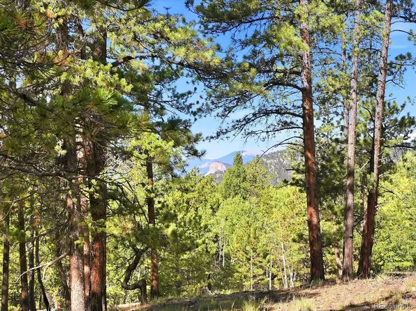 000 Molly Drive, Conifer, CO 80433