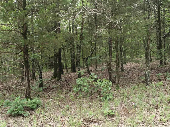 170613000000004 County Road 1, Gainesville, MO 65655
