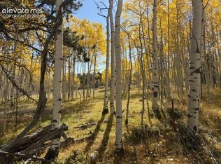 417 Aspen Way Dr, Florissant, CO 80816