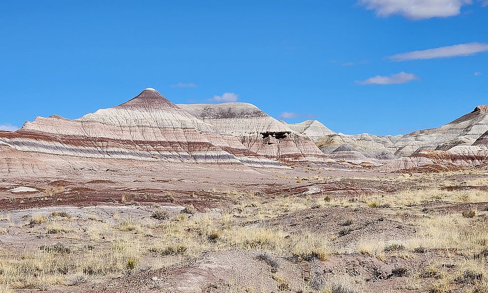 4504 1st St, Joseph City, AZ 86032 Zillow