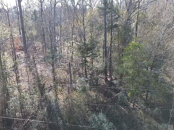 4th image of 4175 Highway 441