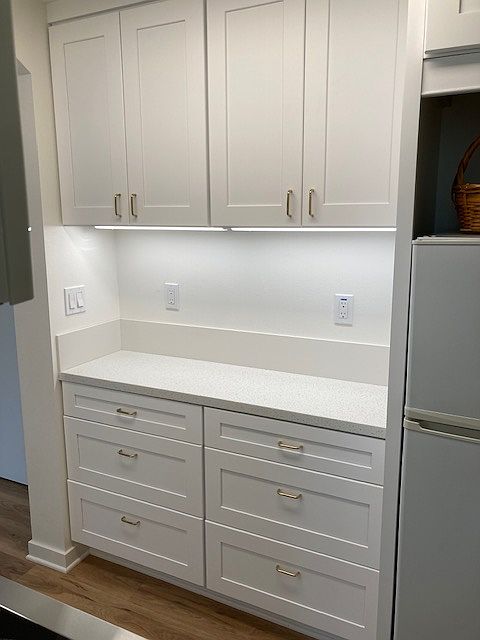 Kitchen pantry and refrigerator with under-cabinet lighting