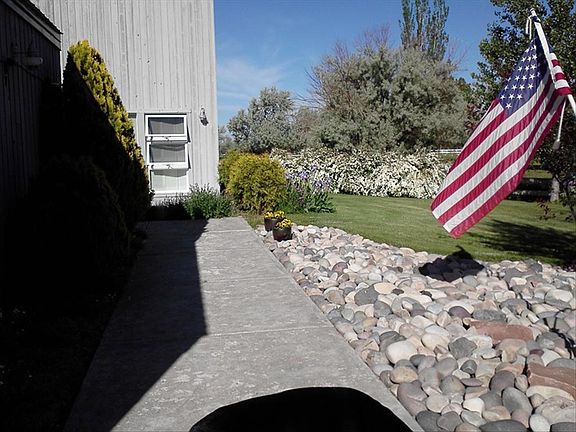 Front Garden II