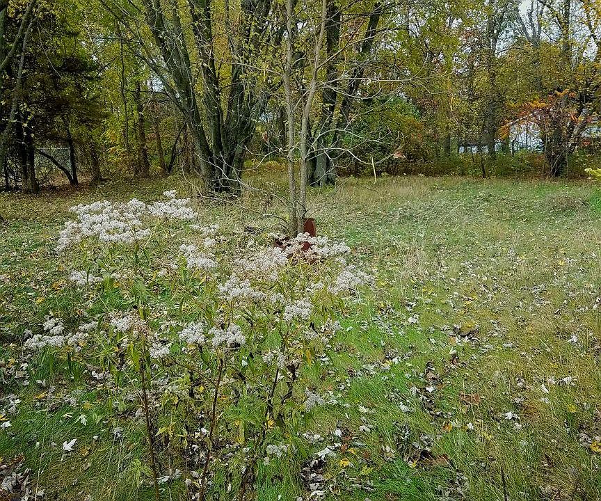 2nd image of 9760 N Bunker Hill Rd