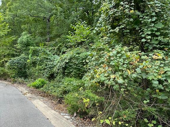 4th image of Lot 17 Skylee Drive